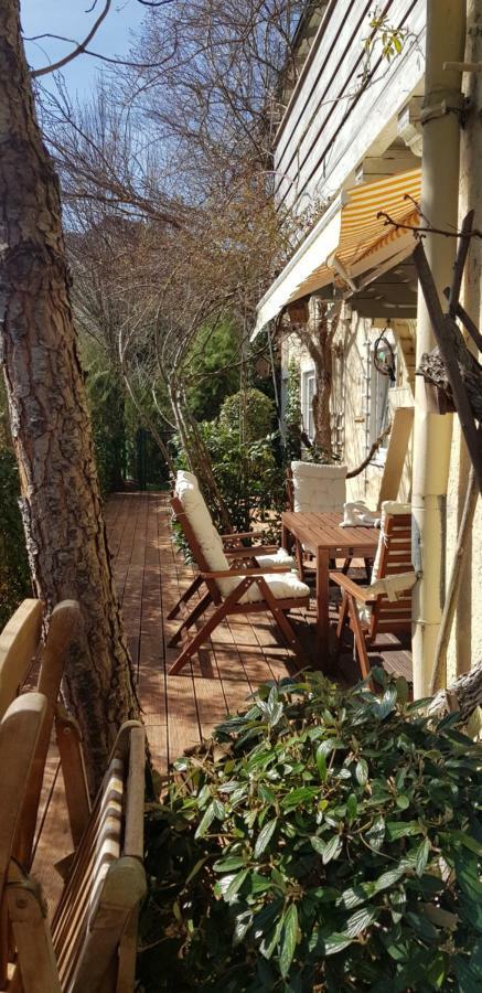 זלצבורג Villa Maxglan מראה חיצוני תמונה